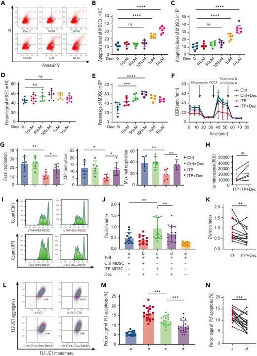 Decitabine enhanced metabolic and immunosuppressive function in MDSCs. (A) The scatter plots showing apoptosis in adherent cells. The percentage of Annexin V–positive and PI-negative cells represented the cell apoptosis rate. (B-C) Decitabine induced significantly higher percentage of Annexin V–positive and PI-negative cells at the higher doses of 1 μM and 10 μM (healthy control, HC: ordinary one-way ANOVA, ∗∗∗∗P < .0001, multiple comparisons: P0 nM vs 100 nM = .8105, ∗∗∗∗P0 nM vs 1 μM < .0001, ∗∗∗∗P0 nM vs 10 μM < .0001; ITP patients: ordinary one-way ANOVA, ∗∗∗∗P < .0001, multiple comparisons: P0 nM vs 100 nM = .3248, ∗∗∗∗P0 nM vs 1 μM < .0001, ∗∗∗∗P0 nM vs 10 μM < .0001). ns, Not significant. (D) There was no significant difference between the control group and the decitabine-treated group in healthy controls (one-way ANOVA, n = 7, P = .0696; multiple comparisons: P0 nM vs 10 nM = .8793, P0 nM vs 50 nM = .4241, P0 nM vs 100 nM = .0521, P0 nM vs 1 μM = .2371, P0 nM vs 10 μM = .9251). (E) After 7 d of culture with decitabine (50 nmol/L, 100 nmol/L, or 1 μmol/L), PBMCs from patients with ITP had significantly increased MDSCs than before decitabine treatment (one-way ANOVA, n = 5, ∗P < .0001; multiple comparisons: P0 nM vs 10 nM = .0772, ∗∗∗P0 nM vs 50 nM = .0010, ∗∗∗∗P0 nM vs 100 nM < .0001, ∗∗P0 nM vs 1 μM = .0027). (F) MDSCs from ITP patients and healthy controls were treated with PBS and decitabine (100 nmol/L), respectively. OCR was measured following injections of oligomycin (1 mol/L), carbonyl cyanide-4 (trifluoromethoxy) phenylhydrazone (FCCP) (1 mol/L), and rotenone/antimycin A (0.5 mol/L). (G) Respective mitochondrial parameters basal respiration (unpaired t tests, ∗∗PCtrl vs ITP = .0087, ∗PITP vs ITP+Dec = .0484), ATP production (unpaired t tests, ∗PCtrl vs ITP = .0106, ∗PITP vs ITP+Dec = .0199) and maximal respiration (unpaired t tests, ∗∗PCtrl vs ITP = .0036, ∗∗PITP vs ITP+Dec = .0052) calculated via ATP-linked respiration/basal respiration. (H) Increased intracellular ATP levels in MDSCs after decitabine treatment (paired t tests, P = .0575). (I) Representative histogram of the proliferation of CD4+ Teffs (Ⅰ) Ctrl-PBS, (II) Ctrl-Dec, (III) ITP-PBS, (IV) ITP-Dec. (J) MDSC-mediated suppression of CD4+ Teff proliferation was measured using division index. MDSC inhibition in healthy controls was significantly higher than that in ITP patients (unpaired t tests, ∗∗PCtrl vs ITP = .0073). (K) Compared with PBS treatment, decitabine significantly enhanced MDSC inhibitory function in ITP (paired t tests, ∗∗PITP vs ITP+Dec = .0089). (L) The gated dot plots represent CTL-induced platelet apoptosis after coculture with PBS- or decitabine-treated MDSCs in ITP. (Ⅰ) Platelets only. (II) Platelets + CTLs. (III) Platelets + CTLs + PBS-MDSCs. (IV) Platelets + CTLs + Dec-MDSCs. (M-N) CTL-induced platelet apoptosis was significantly lower following coculture with decitabine-treated MDSCs (paired t tests, PLT + CTLs vs PLT + CTLs + PBS-MDSC, ∗∗∗P = .0004; PLT + CTLs + PBS-MDSC vs PLT + CTLs + Dec-MDSC, ∗∗∗P = .0010).