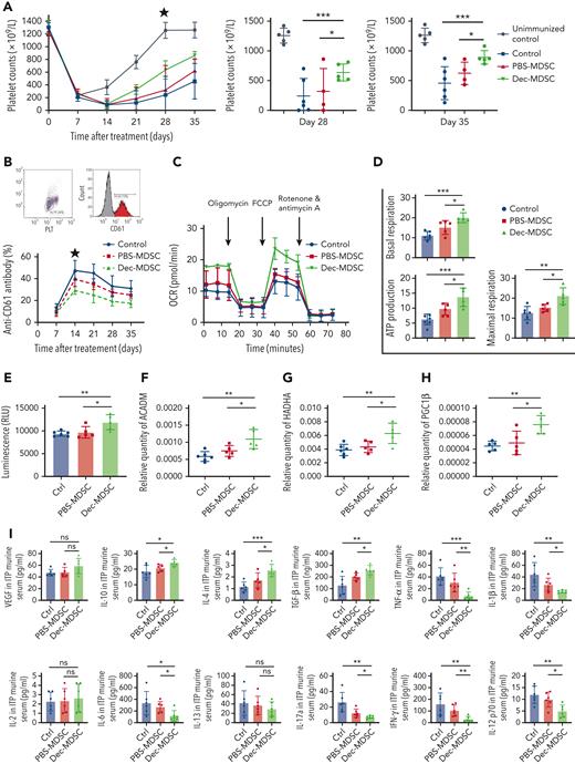 Low-dose decitabine-treated MDSCs ameliorated thrombocytopenia and enhanced bone marrow–derived MDSC metabolic function in active-ITP model mice. ITP models were established in irradiated SCID mice by engraftment with 2 × 104 splenocytes from CD61-knockout mice immunized against wild-type C57 mouse platelets. The mice were divided into 3 groups: the control group did not receive any treatment, the other 2 groups of active-ITP mice were given PBS- or decitabine-treated MDSC transfer, respectively, and platelet counts were monitored weekly for 5 weeks (mean ± standard error of the mean). (A) The lines represent the platelet counts of ITP mice (mean ± standard error of the mean). On days 28 and 35, the decitabine-treated MDSC group had significantly higher platelet counts than the control and PBS-treated MDSC groups. Significance among groups were determined by 2-way ANOVA (∗∗∗∗PTime < .0001, ∗∗∗Pplatelets = .0001, ∗Pinteraction = .0418; multiple comparisons on day 28: ∗∗∗PCtrl vs Dec-MDSC = .0005, ∗PPBS-MDSC vs Dec-MDSC = .0146; day 35: ∗∗∗PCtrl vs Dec-MDSC = .0001, ∗PPBS-MDSC vs Dec-MDSC = .0455). (B) The lines represent the anti-CD61 antibody level of ITP mice (mean ± standard error of the mean). The star indicates significant differences between groups emerged on day 14. (C) MDSCs were sorted from the bone marrow for OCR assessment. (D) Mitochondrial basal respiration (unpaired t tests, ∗∗∗PCtrl vs Dec-MDSC = .0001, ∗PPBS-MDSC vs Dec-MDS = .0327), ATP production (unpaired t tests,∗∗∗PCtrl vs Dec-MDSC = .0007, ∗PPBS-MDSC vs Dec-MDSC = .0436), and maximal respiration (unpaired t tests,∗∗PCtrl vs Dec-MDSC = .0042, ∗PPBS-MDSC vs Dec-MDSC = .0194) were higher in the decitabine-treated group than in the other 2 groups. (E) Intracellular ATP levels were significantly improved after decitabine-treated MDSC transfer (unpaired t tests,∗∗PCtrl vs Dec-MDSC = .0066, ∗PPBS-MDSC vs Dec-MDSC = .0445). (F-H) mRNA expression of ACADM, HADHA, and PGC1β was significantly lower in the control and PBS-treated groups than in the decitabine-treated group (unpaired t tests, ACADM: ∗∗PCtrl vs Dec-MDSC = .0033, ∗PPBS-MDSC vs Dec-MDSC = .0413; HADHA, ∗∗PCtrl vs Dec-MDSC = .0076, ∗PPBS-MDSC vs Dec-MDSC = .0313; PGC1β: ∗∗PCtrl vs Dec-MDSC = .0016, ∗PPBS-MDSC vs Dec-MDSC = .0252). (I) TGF-β, IL-10, IL-4, IL-2 serum levels were significantly higher in the decitabine-treated MDSC group than in the control or PBS-treated groups (unpaired t tests: IL-10: ∗PCtrl vs Dec-MDSC = .0225, ∗PPBS-MDSC vs Dec-MDSC = .0421; IL-4, ∗∗∗PCtrl vs Dec-MDSC = .0007, ∗PPBS-MDSC vs Dec-MDSC = .0488; TGF-β: ∗∗PCtrl vs Dec-MDSC = .0082, ∗PPBS-MDSC vs Dec-MDSC = .0409). TNF-α, IL-1β, IL-6, IL-17a, IFN-γ, IL-12 p70 serum levels were significantly lower in the decitabine-treated MDSC group than in the control or PBS-treated groups (unpaired t tests: TNF-α: ∗∗∗PCtrl vs Dec-MDSC = .0085, ∗∗PPBS-MDSC vs Dec-MDSC = .0005; IL-1β: ∗∗PCtrl vs Dec-MDSC = .0066, ∗PPBS-MDSC vs Dec-MDSC = .0356; IL-17a: ∗∗PCtrl vs Dec-MDSC = .0035, ∗PPBS-MDSC vs Dec-MDSC = .0470; IFN-γ: ∗∗PCtrl vs Dec-MDSC = .0096, ∗∗PPBS-MDSC vs Dec-MDSC = .0077; IL-12 p70: ∗∗PCtrl vs Dec-MDSC = .0035, ∗PPBS-MDSC vs Dec-MDSC = .0151. Mann-Whitney U tests: IL-6: ∗PCtrl vs Dec-MDSC = .0260, ∗PPBS-MDSC vs Dec-MDSC = .0152). The levels of VEGF, IL-2, and IL-13 did not vary significantly among the groups.