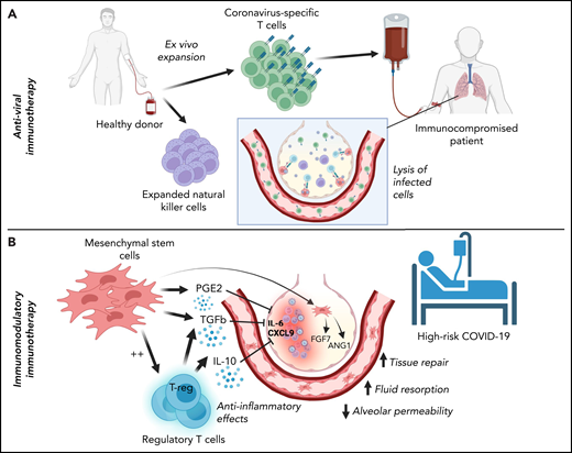 Classification of cellular therapies for SARS-CoV-2 infection. Cellular therapy for SARS-CoV-2 can be classified as adoptive anti-viral immunotherapy with CST or NK cells to aid immunocompromised patients with viral clearance (A) or immunomodulatory immunotherapy with Tregs or MSCs to correct dysregulated immune responses in patients with severe COVID-19 (B).