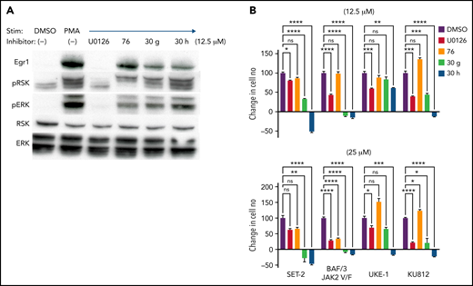 Derivatives of ERK-D domain inhibitor #76 exhibit greater potency in inhibiting the growth of JAK-dependent cells. (A) Selective inhibition of ERK2-mediated phosphorylation of RSK by the D-domain inhibitors #76, 30 g, and 30 h. SCID.adh cells were pretreated with the indicated inhibitors and then stimulated with PMA. Immunoblot analysis of protein extracts was performed with the following antibodies: anti-EGR1, anti–phospho-RSK, anti-RSK, anti–phospho-ERK, anti- ERK, and anti–β-actin, which served as a loading control. (B) Cell lines expressing JAK2V617F (SET-2, UKE-1, KU812, and BAF/3-JAK2) were treated with vehicle control, U0126, #76, 30 g, and 30 h at the indicated doses. All results are from ≥3 independent experiments. Cell viability and proliferation were measured after 1 day of culture and normalized to untreated cells at day 0. Data are expressed as the mean ± standard deviation. *P < .05; **P < .01; ***P < .001; ns, not significant.