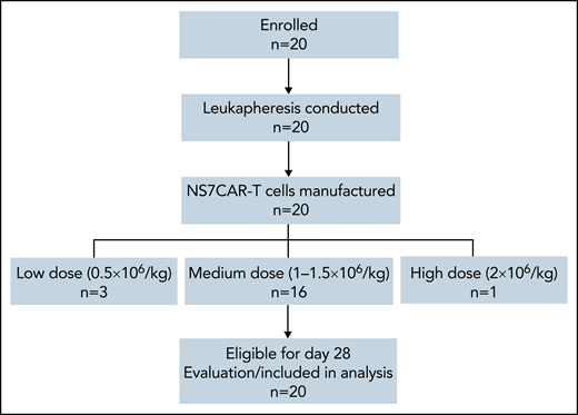 Consort diagram of patient flow. Twenty patients were enrolled in the study and underwent leukapheresis. NS7CAR T cells were successfully manufactured and infused into all patients at a low dose (0.5 × 106/kg, n = 3), medium dose (1-1.5 × 106/kg, n = 16), or high dose (2 × 106/kg, n = 1). All were available for day 28 evaluation after NS7CAR T-cell infusion.