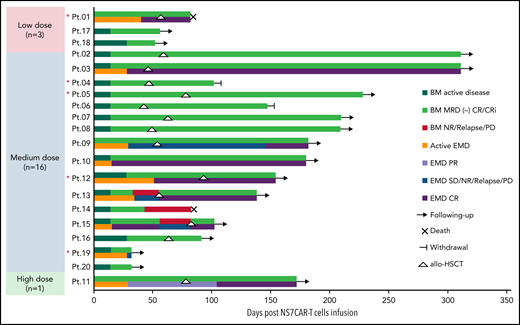 Clinical response to NS7CAR T cells and postinfusion allo-HSCT. The clinical responses of patient BM and EMD after NS7CAR T infusion and transplantation after infusion are shown by swimmer plots. For the 9 patients (Pt.01, Pt.03, Pt.09, Pt.10, Pt. 11, Pt.12, Pt.13, Pt.15, and Pt.19) with EMD, the EMD response statuses are shown in separate bars and different colors from the BM response. Patients who had been followed up to the cutoff date and were no longer followed due to death or withdrawal are indicated. After transplant, Pt.09 did not have an EMD evaluation until 92 days after allo-HSCT, which was proven to be EMD CR. NR, no response. *Red asterisk indicates patients who relapsed from previous transplantation before NS7CAR T-cell infusion.