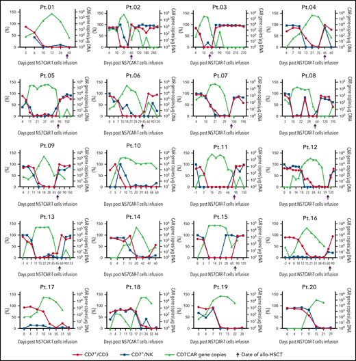 The dynamics of CD7+ T cells, NK cells, and CD7CAR gene copy numbers in each patient. (Left y-axis) The percentages of CD7+ T cells and NK cells as determined by FCM. (Right y-axis) CD7CAR gene copy number by qPCR. CD7+ T and NK cells were eliminated by NS7CAR T cells. An adequate recovery was observed among normal CD7+ T and NK cells after allo-HSCT. The 4 patients (Pt.05, Pt.07, Pt.11, and Pt.15) missed the time window for blood check within the 1 week after transplant to observe the decline in T and NK cells.
