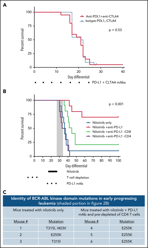 Nilotinib plus PD-L1 blockade induces a protective anti-leukemia immune response in a CD4+ T-cell–dependent manner. (A) CD45.2+ mice were injected with 2500 LM138 leukemia cells. Dual PD-L1/CTLA-4 targeting antibody therapy (10 mg/kg each) was given simultaneously and continued twice per week. Statistical significance was analyzed using the Mantel-Cox Log-rank test. Results representative of 2 independent experiments (n = 10 mice per condition). (B) CD45.2+ mice were injected with 2500 LM138 leukemia cells. Starting at day 14 after leukemia injection, the mice were treated with either nilotinib and a PD-L1 blocking antibody (10 mg/kg) or nilotinib plus an isotype control antibody. In a cohort of mice, depleting antibodies against CD4+ or CD8+ T cells were administered before the start of treatment with nilotinib plus PD-L1 blockade. Survival of the mice in each of the treatment arms is shown. Statistical significance was analyzed using the Mantel-Cox log-rank test. Results representative of 2 independent experiments (n = 10 mice/arm). (C) Six mice became moribund while still receiving nilotinib or within 3 days of completing therapy (gray box indicated in 2B) and were euthanized. Spleens were harvested, genomic DNA was extracted, and the BCR-ABL kinase domain was amplified by polymerase chain reaction. Amplicons were cloned into plasmids that were transformed into Escherichia coli and streaked on agar plates. Individual colonies were picked, and plasmids sequenced in both forward and reverse directions using Sanger sequencing approaches. At least 2 clones per mouse were sequenced.