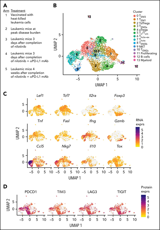 scRNA sequencing reveals heterogeneous CD4+ T-cell subsets in leukemic mice. (A) CD44+CD4+ T cells from the indicated treatment arms were sorted for scRNA and scTCR sequencing (n = 4 mice/arm). Results of a single scRNAseq experiment. All cells were harvested and processed for scRNAseq simultaneously to avoid batch effects in downstream processing. Leukemia establishment and subsequent treatments were offset, relative to each other, to allow for this. (B) UMAP plots showing the subsets of CD4+ T cells identified. (C) UMAP feature plots showing the expression of key genes in the different clusters of CD4+ T cells. (D) Normalized CITE-Seq antibody expression of the indicated exhaustion markers on CD4+ T cells.