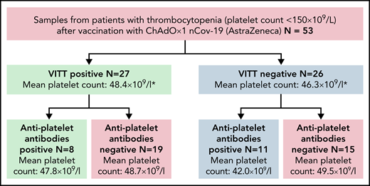 Antiplatelet antibody screening of VITT and thrombocytopenia patients after ChAdOx1 nCov-19 administration. A total of n = 53 patients with thrombocytopenia after ChAdOx1 nCov-19 vaccination were screened for antiplatelet antibodies. N = 27 of these patients had positive anti–PF4-heparin antibody tests, fulfilling the criteria for VITT. N = 26 patients had isolated thrombocytopenia. Of these groups, n = 8 and n = 11 patients had antiplatelet antibodies present in the serum, respectively. The mean platelet counts between positive and negative antiplatelet antibody cohorts did not differ significantly (Welch’s t test).