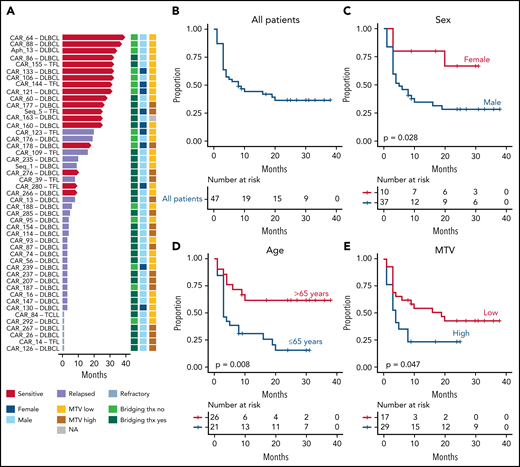Clinical features associated with early progression in LBCL treated with CAR-19. (A) Follow-up and clinical outcome of 47 of 49 patients with LBCL included in the PFS and OS analysis (excluded cases: relapse-only sample with transitory complete remission and early therapy-related death not evaluable for PFS). Red arrows indicate ongoing responses. (B) Kaplan-Meier curve for PFS for all 47 patients. (C-D) Kaplan-Meier curves for PFS comparing female vs male (C), patients more or less than 65 years old (D), and low vs high MTV (E).
