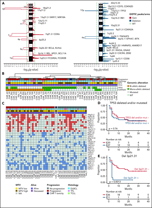 Clinical impact of recurrent copy number anomalies in r/r LBCL. (A) GISTIC significant peaks extracted combining 49 r/r LBCL and samples from 50 PCAWG newly diagnosed cases; amplification (left) and deletion (right). Each plot shows the focal-level and arm-level output; the green dashed line indicates the q-value threshold (q < 0.1). (B) A heat map showing the monoallelic or biallelic alteration of TP53 and CDKN2A in 49 patients with r/r LBCL. (C) A heat map showing the distribution of the 30 focal peaks extracted by GISTIC across 49 patients with r/r LBCL treated with CAR-19. (D-E) Kaplan-Meier plots showing the impact of TP53 loss (D) and deletion 3p21.31 (RHOA) (E) (n = 47).