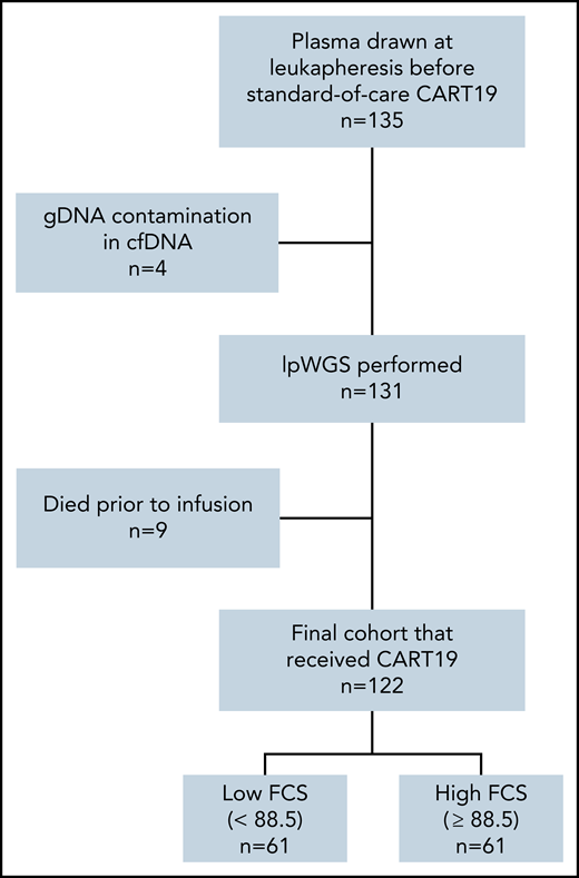 Patient flow diagram. lpWGS was successfully performed on 131 of 135 (97%) plasma samples drawn from patients at time of leukapheresis. Nine patients subsequently died before CART19 infusion, leaving an evaluable cohort of 122 patients that were dichotomized by the median focal copy number alteration burden score of 88.5.