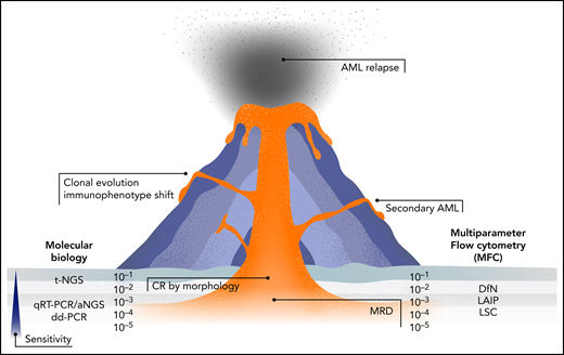 Sensitivity of molecular and multi-parametric flow cytometry methods for the detection of MRD in patients with AML. MRD positivity is associated with disease relapse. However, clonal evolution, immunophenotype shifts, or the onset of secondary independent leukemias may occur during follow-up and may escape MRD detection. aNGS, amplicon next-generation sequencing; ddPCR, digital droplet polymerase chain reaction; qRT-PCR, quantitative reverse transcriptase PCR; t-NGS, targeted NGS.