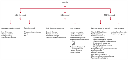 An approach to anemia based on mean corpuscular volume and reticulocyte count.