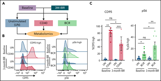 Effects of IBR treatment on in vitro CD40 and BCR stimulation. (A) As an indirect way to study LN metabolism, PB mononuclear cell samples from patients with CLL at baseline or after 3-month treatment with IBR were restimulated with in vitro CD40/BCR by coculture on CD40L-expressing 3T3 cells (CD40) or by anti-IgM–coated beads (BCR) for 24 hours. Metabolomic analysis was subsequently performed in these samples. (B) CD95 was measured after 24 hours of CD40 stimulation, and pS6 was measured after 30-minute BCR stimulation. Representative histograms are shown for all conditions. (C) Percentages of CD95-high cells and pS6-high cells were calculated (n = 8). Data are shown as mean ± standard error of the mean of the indicated individual values. Statistical analyses were performed with paired Student t test. *P < .05, **P < .01, ***P < .001. ns, not significant.