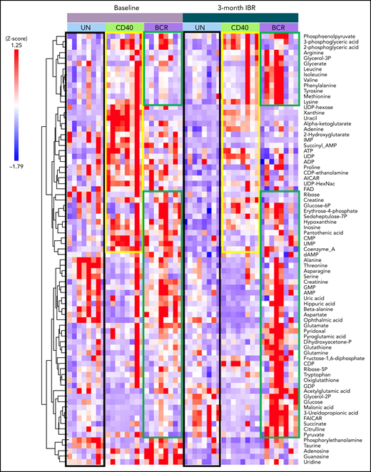 Metabolomic analysis of IBR-treated patient samples stimulated by CD40 or BCR. Heat map showing the abundance of 79 metabolites in CLL cells from 8 samples from patients with CLL at baseline or after 3-month treatment with IBR, which were restimulated by in vitro CD40/BCR for 24 hours. Metabolomic data were analyzed with Tercen software (https://www.tercen.com/) and are represented by z score followed with h clustering. Metabolic signatures induced by IBR treatment and CD40 and BCR stimulation are highlighted in black, yellow, and green, respectively. UN, unstimulated control.