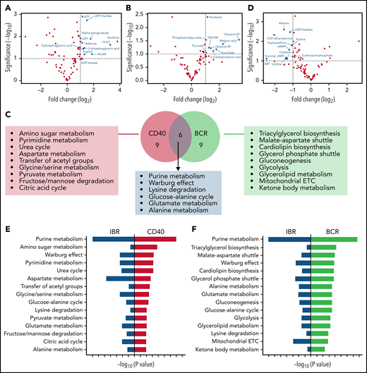 Metabolic pathways upregulated by CD40 or BCR were mirrored by IBR. Volcano plots of significantly increased metabolites in baseline+CD40 vs baseline cells (A) or 3-month IBR treatment+BCR vs baselineUN (B). Statistical analyses were performed with paired Student t test with selective threshold P value < .1 and fold change (FC) > 2 (n = 8). (C) Venn diagram showing the metabolic pathways upregulated by CD40 or BCR stimulation. Pathway analysis was performed from significantly increased metabolites in baseline+CD40 vs baseline or 3-month IBR treatment+BCR vs baseline (n = 8) using MetaboAnalyst software (https://www.metaboanalyst.ca/). (D) Volcano plot of significantly decreased metabolites by 3-month IBR treatmentvs baseline. Statistical analyses were performed with paired Student t test with threshold P value < .1 and FC > 2 (n = 8). Top 15 pathways upregulated by CD40 (E) or BCR (F), which were downregulated by IBR treatment. ETC, electron transport chain.