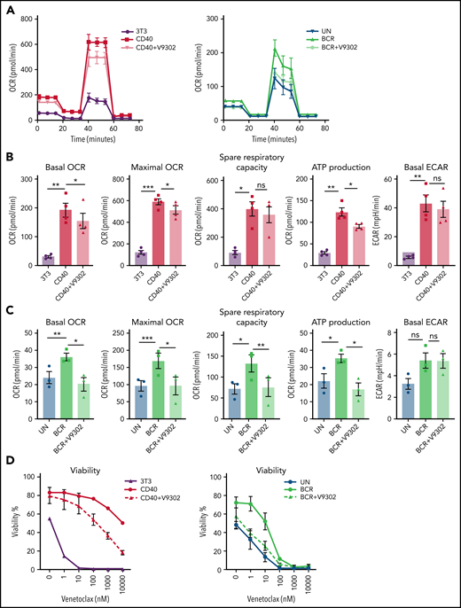 Glutamine transport inhibition impairs CLL metabolism and VEN resistance. (A-C) CLL cells were stimulated by CD40 (n = 4) or BCR (n = 3) for 24 hours in the presence or absence of V9302, an inhibitor of the glutamine transporter ASCT2. CLL cells were harvested, and MitoStress tests were performed on Seahorse XF analyzer. Basal and maximal OCR were measured, and spare respiration capacity and ATP-linked respiration were calculated and plotted, as was basal ECAR. (D) CD40- or BCR-stimulated CLL cells in absence/presence of V9302 (both n = 6) were collected and incubated with various concentrations of the Bcl-2 inhibitor VEN for 24 hours; cells were then stained by DioC6/TO-PRO-3 for viability measurement. Statistical analyses were performed with paired Student t test. *P < .05, **P < .01, ***P < .001. ns, not significant; UN, unstimulated control.