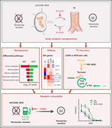 Graphical abstract for: Characterization of metabolic alterations of chronic lymphocytic leukemia in the lymph node microenvironment;