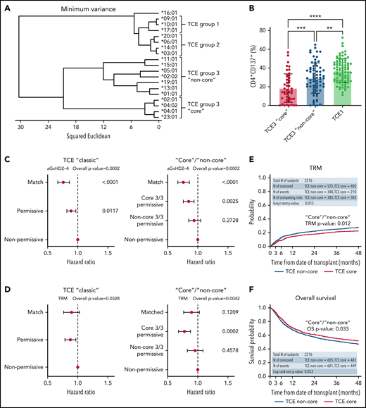 Clustering analysis based on HLA-DP polymorphic positions reveals structurally and functionally divergent “core” and “non-core” HLA-DPB1 alleles predictive of clinical outcome. (A) Amino acid variation at 28 polymorphic positions (amino acids 8-215) in HLA-DPB1 coding sequences was used to cluster alleles according to their structural similarity. TCE3 “core” alleles (ie, DPB1*02:01, 04:01, 04:02, 23:01) form a distinct cluster separate from other alleles in this TCE group. For clarity, only the 19 most common alleles in the cohort, with cumulative frequencies of 98.7% and 98.8% in the patients and donors, respectively, are shown. (B) Mean in vitro alloreactive responses (% CD4+CD137+) from self-TCE3 “core” healthy donors are lowest (18.5% ± 15.2%; n = 47) against permissive TCE3 “core” alloantigens (DPB1*02:01, 04:01, 04:02) and maximal (37.2% ± 12.7%; n = 85) against nonpermissive TCE1 alleles (DPB1*09:01, 10:01, 17:01). Mean alloresponses against representative “non-core” TCE3 alleles (DPB1*01:01, 05:01, 15:01) are intermediate (29.2% ± 16.2%; n = 69) between these 2 extremes. Bars indicate mean with standard deviation. **P < .01; ***P < .001; ****P < .0001. A total of 187/201 cultures were included in Meurer et al13 and reanalyzed for this work. (C-D) Forest plots show the HR and 95% CI for (C) aGVHD II-IV and (D) TRM for the DP matching subgroups in the “classic” TCE model and the TCE3 “core” vs “non-core” stratification strategy (model II). HLA-DP nonpermissively mismatched pairs are shown as reference and overall P values of the adjusted models are presented. For statistically significant models (overall P < .01), P values for individual groups are also indicated. (E-F) Cumulative incidence (top panels) and Kaplan-Meier (bottom panels) estimates for (E) TRM and (F) overall survival in the cohort are plotted for the TCE3 “core” and “non-core” permissive subgroups. Results from statistical comparison of the curves with Gray’s test and log-rank are indicated.