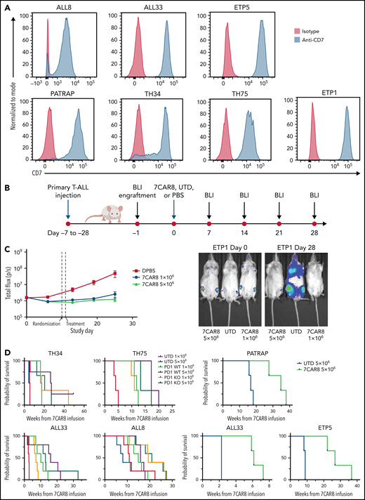 A multiplexed edited CART targeting CD7 is highly effective in improving survival in PDX of pediatric T-ALL. (A) CD7 expression on 6 unique PDX of pediatric T-ALL measured by flow cytometry are shown. Blue histograms represent CD7 expression on PDXs, and red histograms represent isotype controls. (B) Schematic of PDX T-ALL animal model studies. (C) 7CAR8 is highly effective in improving disease burden as measured by the surrogate total mean flux over time and in improving survival. A representative PDX sample of ETP T-ALL (ETP 5) was modified to express luciferase and was treated with 7CAR8. Total mean flux was significantly lower in the 7CAR8-treated arm than the UTD T-cell arm. Representative images of mice treated with UTD and 7CAR8 at day 0 and day 25 are also shown. 7CAR8 improved survival in treated mice with ETP5 (n = 3 mice per arm). (D) 7CAR8 improved survival in 5 unique PDXs. Programmed cell death protein (PD1) knock-out (KO) CART were compared with those without PD1 edit (WT) in a subset of experiments. PD1 KO CART were noninferior to PD1 WT CART in most samples. In the PDX ALL8, mice treated with the PD1 KO CART tended to survive longer than those treated with the wild type. Mice treated with either 1 × 106 or 5 × 106 UTD cells displayed no differences in survival.
