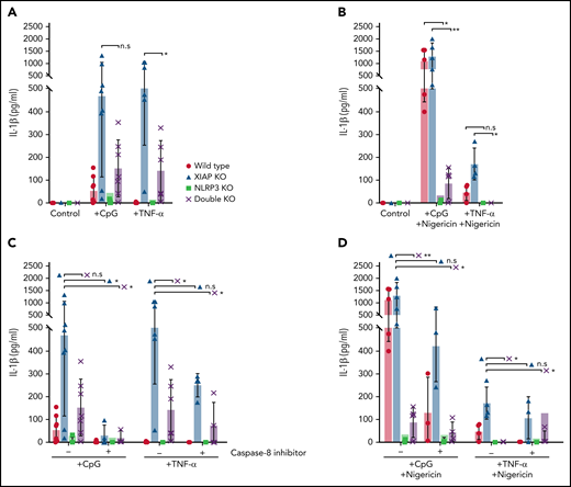 The NLRP3 inflammasome is dysregulated in XIAP deficiency. (A) BMDMs from 4 different mouse strains were preincubated with CpG ODN, TNF-α, or media as control. XIAP KO cells readily produced IL-1β with a single priming stimulation, but this was reduced in XIAP-NLRP3 double KO cells, clearly implying the role of NLRP3 in XIAP deficiency-mediated inflammasome dysregulation. (B) Similarly, the role of the NLRP3 inflammasome in XIAP deficiency-mediated inflammasome dysregulation was also evident in the presence of nigericin. (C) The addition of a caspase-8 inhibitor further reduced residual IL-1beta activation and secretion when cells were primed with CpG ODN or TNF-α alone or (D) additionally activated with nigericin, acting in an inflammasome-independent manner. Symbols used: n.s for not significant, * for p≤0.05, and ** for p≤0.01.