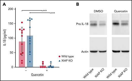 Quercetin inhibits IL-18 secretion but not pro–IL-18 production. BMDM from WT and XIAP KO mice were incubated with or without quercetin for 7 days. (A) IL-18 was measured in culture supernatants and (B) pro–IL-18 was detected in cell lysates. Symbols used: *** indicates p≤0.001.