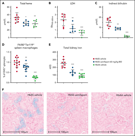 Vamifeport reduced hemolysis in HbSS mice. Vamifeport significantly reduced plasma markers of hemolysis in HbSS mice, including heme (A), lactate dehydrogenase (LDH) (B), and indirect bilirubin (C). (D) Erythrophagocytosis was reduced in HbSS mice treated with vamifeport, as shown by percentages of Ter119+ red pulp macrophages, identified by gating on CD45+F4/80+ spleen cells. (E) Total iron deposition in the kidneys of HbSS mice was reduced by vamifeport, as measured by inductively coupled plasma optical emission spectrometry. (F) Reduction of total iron deposition in the kidneys of HbSS mice by vamifeport was also illustrated by Perls staining of kidney sections. Results are presented as individual values with mean ± standard deviation (n = 5-8 mice per group). Analysis was performed by using one-way analysis of variance with Dunnett’s multiple comparison of all groups vs the HbSS vehicle group: *P < .05, **P < .01, ***P < .001. Abs, absorbance; BID, twice daily.