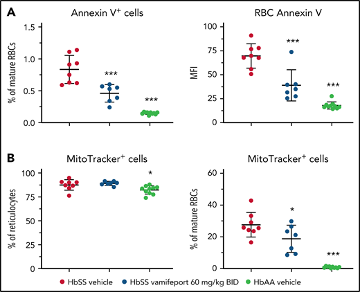 Vamifeport decreased PS exposure and improved mitochondria clearance in mature RBCs of HbSS mice. (A) Vamifeport lowered the exposure of PS on peripheral blood RBCs, as detected by a decreased percentage of Annexin V–positive cells and decreased intensity of Annexin V staining. (B) Although almost all reticulocytes of vehicle- and vamifeport-treated HbSS mice contained mitochondria (left), treatment with vamifeport reduced the occurrence of mitochondria in mature RBCs (right). Results are presented as individual values with mean ± standard deviation (n = 7-10 mice per group). Analysis was performed by using one-way analysis of variance with Dunnett’s multiple comparison of all groups vs the HbSS vehicle group: *P < .05, ***P < .001. BID, twice daily; MFI, mean fluorescent intensity.