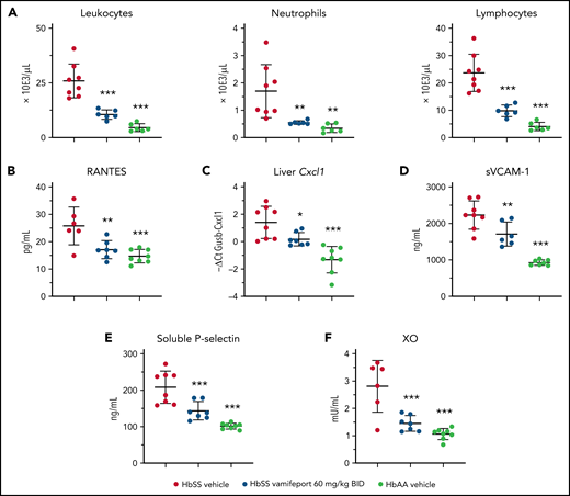 Vamifeport reduced systemic and vascular inflammation, and oxidative stress, in HbSS mice. Vamifeport significantly reduced inflammatory markers in HbSS mice: total leukocyte, neutrophil, and lymphocyte counts (A); plasma levels of the chemokine RANTES (B); expression of the neutrophil chemoattractant Cxcl1, as determined by quantitative polymerase chain reaction in liver (C); sVCAM-1 (D); soluble P-selectin (E); and plasma XO activity (F). Results are presented as individual values with mean ± standard deviation (n = 6-8 mice per group). Analysis was performed by using one-way analysis of variance with Dunnett’s multiple comparison of all groups vs the HbSS vehicle group: *P < .05, **P < .01, ***P < .001. BID, twice daily.