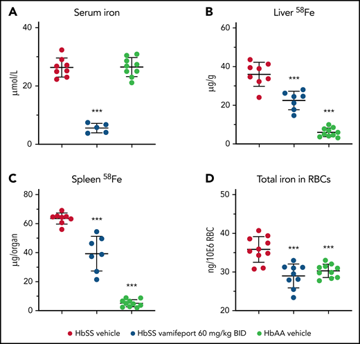 Vamifeport prevented organ iron loading in the Townes model of SCD (HbSS mice). Mice received water supplemented with the stable iron isotope 58Fe to distinguish iron acquired during the treatment period and iron already present in organs. 58Fe concentrations in the liver and spleen were measured by using inductively coupled plasma mass spectroscopy. (A) Vamifeport significantly reduced serum iron levels 3 hours postdose. Vamifeport prevented 58Fe loading of livers (B) and spleens (C) of HbSS mice. (D) Vamifeport corrected total iron content in HbSS RBCs to the levels of HbAA mice. Results are presented as individual values with mean ± standard deviation (n = 7-10 mice per group). Analysis was performed by using one-way analysis of variance with Dunnett’s multiple comparison of all groups vs the HbSS vehicle group: ***P < .001. BID, twice daily.
