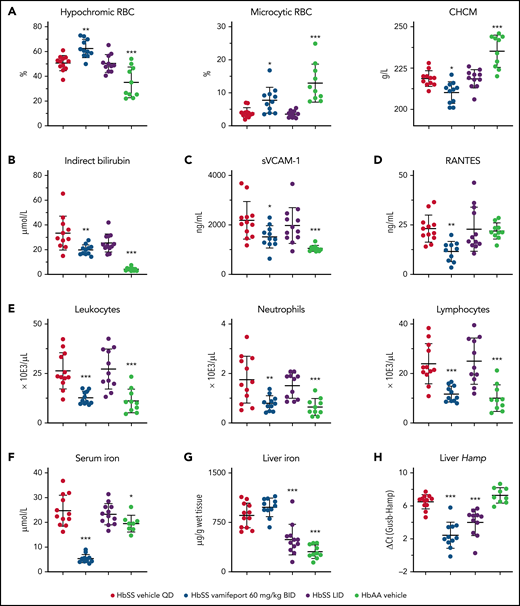 Systemic iron restriction by vamifeport, but not dietary iron restriction, reduced hemolysis and inflammation in HbSS mice. Treatment with vamifeport, but not dietary iron restriction (LID), increased the proportion of circulating hypochromic and microcytic RBCs and reduced CHCM (A) and decreased indirect bilirubin in plasma (B), compared with HbSS mice treated with vehicle. Vamifeport, but not LID, prevented the release of sVCAM-1 into the circulation of HbSS mice (C) and reduced plasma concentrations of RANTES (D). (E) Circulating leukocyte, neutrophil, and lymphocyte numbers were normalized in HbSS mice receiving vamifeport but remained elevated in HbSS mice on LID. (F) Vamifeport, but not LID, decreased serum iron levels. LID, but not vamifeport, efficiently depleted iron from the liver (G), whereas both treatments decreased the expression of liver Hamp (H). Results are presented as individual values with mean ± standard deviation (n = 10-12 mice per group). Analysis was performed by using one-way analysis of variance with Dunnett’s multiple comparison of all groups vs the HbSS vehicle group: *P < .05, **P < .01, ***P < .001. BID, twice daily; QD, once daily.