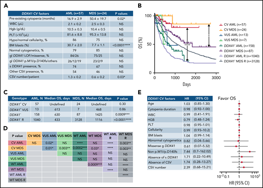 Common clinical, hematologic, pathologic, and genetic features and superior OS in AML/MDS patients with germline DDX41 CV. (A) Both patients with AML and MDS with germline DDX41 CV present a similarly indolent and chronic course of cytopenia years before the diagnosis of an overt myeloid neoplasm. Furthermore, the bone marrow examination shows predominantly normal to hypocellular marrow in AML (86%) and MDS (75%, P > .05), and a borderline increase in blasts is seen in patients with AML (31% in AML vs 8% in MDS, P < .0001). Most patients with AML (79%) and MDS (85%, P > .05) carry normal karyotypes with similar germline DDX41 variant subtypes and somatic mutation profiles. (B) The median OS of 57 patients with AML with CV (red line, CV AML, not reached) is significantly longer than that of 13 patients with AML with VUS (blue line, VUS AML, 613 days, P = .02) or 158 patients with DDX41 wild-type AML (dark green line, DDX41− or WT AML, 630 days, P < .0001) in the current study and 1040 patients documented in cBioPortal (lavender line, DDX41− or WT AML R 433 days, P < .0001). Similarly, the median OS of 24 patients with MDS with CV (orange line, CV MDS, not reached) is significantly longer than that of 7 patients with MDS with DDX41 VUS (green line, VUS MDS, 468 days, P = .003) or 87 patients with DDX41 WT MDS (purple line, DDX41− or WT MDS 1425 days, P = .03) in this study and 3128 patients reported recently (navy blue line, DDX41− or WT MDS R, 1116 days, P = .003).27 (C-D) Statistical characteristics of the median OS in each genotype and disease group (C) and P values in pairwise comparisons (D) are listed in the tables. (E) The results of univariate analysis for different factors predicting OS in patients with AML/MDS with DDX41 CV show that the superior OS is not impacted by patient’s age, duration or severity of cytopenia, blast count, presence of abnormal cytogenetics, somatic DDX41 or other concomitant variants, somatic mutation burden, or different types of germline DDX41 CV. Each circle represents the mean HR calculated by Cox proportional hazards regression, and the horizontal lines represent the 95% confidence interval (CI) for the subgroup’s HR. Right of the dashed vertical line (HR = 1), unfavorable OS; left of the dashed line, favorable OS. WBC, white blood cells; Hgb, hemoglobin; PLT, platelet count; BM, bone marrow; gl DDX41, germline DDX41 CV, s DDX41, somatic DDX41 variants. *P < .05; **P < .01; ***P < .001; ****P < .0001; NS, not significant, P > .05.