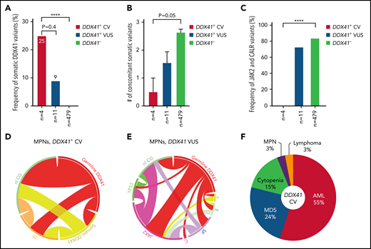 MPN and lymphoma predisposed by germline DDX41 CV. (A) The occurrence of somatic DDX41 variants in MPN patients is more frequent in patients with germline CV (25%) compared with patients with VUS (9%; 1/11, P = .4) or patients not carrying germline DDX41 variants (DDX41−, 0%, P < .0001). (B) There appears to be a lower concomitant somatic mutation burden in patients with CV (mean ± standard error of the mean: 0.5 ± 0.5), compared with those with WT DDX41 (DDX41−, 2.6 ± 0.1, P = .05) and VUS (1.5 ± 0.4, P > .05). (C) No mutations in JAK2 or CALR were seen in MPN with CV, whereas these canonical variants are seen in 73% (8 of 11) of MPN patients with VUS and 82% in the WT cohort (P < .0001). (D-E) Circos plot diagrams illustrate the pairwise co-occurrence of variants and cytogenetic events in MPN patients with germline CV (D) and VUS (E). Genetic variants and cytogenetic events listed in Figure 2 appear in descending order clockwise starting at 12 o’clock. Each link (ribbon) indicates the pairwise co-occurrence of mutational events, and the width of the ribbons indicates the frequency of the co-occurrent events. TF (orange), transcription factors; nl CG (green), normal cytogenetics; s (yellow), somatic DDX41; E (light green), epigenetic modulators; SF (purple), RNA splicing factors; C (pink), CALR. (F) HM predisposed by germline DDX41 CV. AML (55%) and MDS (24%) are the most common entities predisposed by DDX41 CV, followed by cytopenia (16%), MPN (3%), and lymphoma (3%). ****P < .0001.