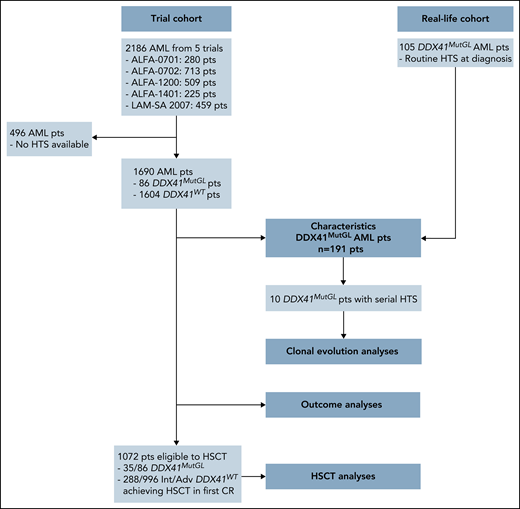 Flowchart summarizing patients included in each analysis. HTS, high throughput sequencing.