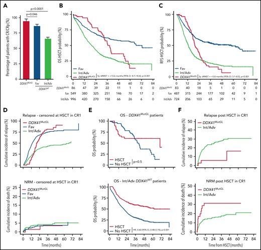 Outcome of patients with DDX41MutGL compared with DDX41WT AML. (A) CR/CRp rates after one induction course in DDX41MutGL compared with DDX41WT AML patients stratified according to the ELN-2017 classification. P values from the bivariate regression for response are reported. Error bars represent the 95% CIs calculated according to the exact method. OS (B) and RFS (C) censored at HSCT in CR1 in patients with DDX41MutGL (red) vs DDX41WT ELN-2017 favorable (blue) and DDX41WT ELN-2017 Int/Adv (green). Results of the RMST analyses at 5 years (OS-HSCT) and at 3 years (RFS-HSCT) are reported. (D) Cumulative incidence of relapse (top) and death (bottom) censored at HSCT in CR1 in DDX41MutGL and DDX41WT AML. (E) Simon-Makuch plot of OS according to achievement of HSCT in first CR in DDX41MutGL patients (top) and ELN-2017 Int/Adv DDX41WT patients (bottom). Results of the bivariate time-dependent Cox models are reported. (F) Cumulative incidence of relapse (top) and nonrelapse death (bottom) after HSCT in first CR.