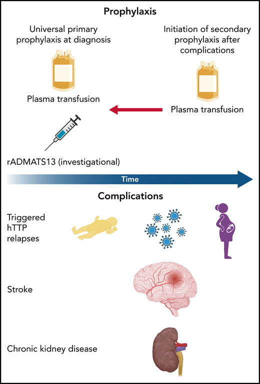 Currently, prophylaxis with plasma transfusions is recommended in patients with hTTP and most frequently, although inconsistently, is initiated only after complications from the disease have arisen (upper panel). Given the high frequency of stroke and neurologic impairment reported by patients in Borogovac et al, the authors make a strong case for prophylaxis from the time of diagnosis. Complications of hTTP (lower panel) include hTTP relapses during the neonatal period associated with neonatal jaundice, infections (particularly childhood illness), and pregnancy along with stroke and chronic kidney disease. The authors highlight the fact that stroke often preceded the hTTP diagnosis, which suggests an important need to make this diagnosis early to prevent major neurologic morbidity. Illustration created using Biorender.