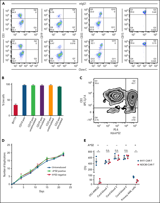 Clone C CAR T cells do not mediate toxicity toward healthy leukocytes, activated lymphocytes, or HSCs. (A) Flow cytometry of clone C or mIgG1 isotype binding of healthy A*02–positive CD3, CD19, CD33, and CD15 positive cells. Data are representative of 3 donors. (B) Lactate dehydrogenase–killing assay with clone C CAR T cells and magnetic-activated cell-sorted CD3, CD14, and CD19 positive cells. CD13 and CD19 positive cells were also tested after 48 hours of activation. BV173 cells served as positive control. (C) Zebra plot after coculture of clone C CAR T cells produced from cells of A*02–positive and –negative blood donors. Flow cytometry was performed after 18 hours’ coculture at 1:1 ratio. Plot is representative of 3 biological replicates. (D) Cell proliferation capacity of simulated but untransduced T cells and HLA-A*02–positive and –negative clone C CAR T cells. (E) Colony-forming unit (CFU) assays of cord blood–isolated CD34+ HSCs, OCI-AML02 cell line as positive control, and N3 primary AML cells. Cells were plated after 18-hour 1:1 coculture of CAR T cells and target cells. MUC16-specific 4H11 CAR T cells served as control. Error bars in panels B, D, and E denote standard deviation. *P < .05 (unpaired t test). APC-Cy7, allophycocyanin-cyanin 7; n.s., not significant; PE-A, phycoerythrin; Q, quadrant.