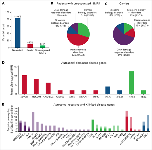 Frequencies and genes identified in the SAA cohort. (A) Frequency of variant status across the full cohort of patients with aplastic anemia. Blue, no variant; red, carrier (single pathogenic variant in an autosomal recessive gene or X-linked recessive gene in females); green, unrecognized IBMFS. (B) The frequency of SAA patients with unrecognized IBMFS and (C) carrier status categorized by gene pathway. (D) The number of patients with pathogenic/likely pathogenic variants in an autosomal dominant gene and (E) the number of patients with pathogenic/likely pathogenic variants in autosomal recessive, X-linked, or dual inheritance gene. Red, hematopoiesis genes; blue, ribosome biology genes; green, telomere biology genes; purple, DNA damage response gene. Darker bars, unrecognized IBMFS; lighter bars, carriers.
