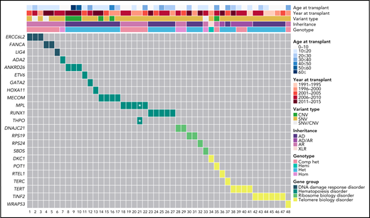 Genetic information by age and year of HCT of the 48 patients with SAA found to have an unrecognized IBMFS. Het, heterozygous; Comp het, compound heterozygous; Hemi, hemizygous; Hom, homozygous. *One patient had dual MPL and THPO inheritance. Note: HCT sample collection began in 1989, but the first patient in this group to have HCT was in 1991.