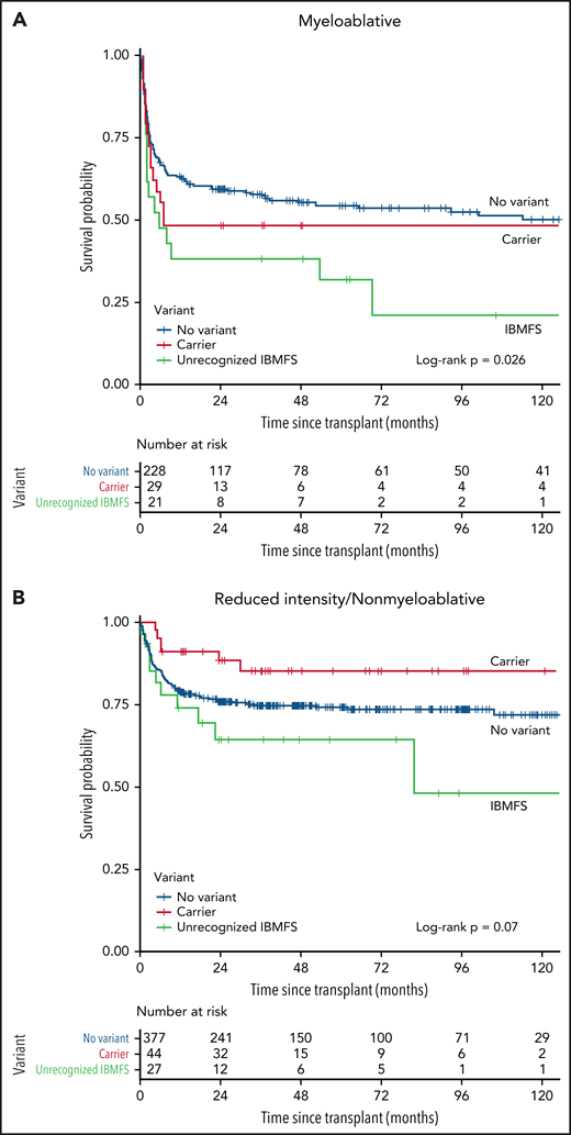 Survival probability after allogeneic HCT by IBMFS variant status and conditioning intensity. (A) Myeloablative and (B) reduced-intensity conditioning and nonmyeloablative Kaplan-Meier curve comparing 3 groups of patients, those with a previously unrecognized IBMFS (green), carriers (red), and those with no variants (blue).