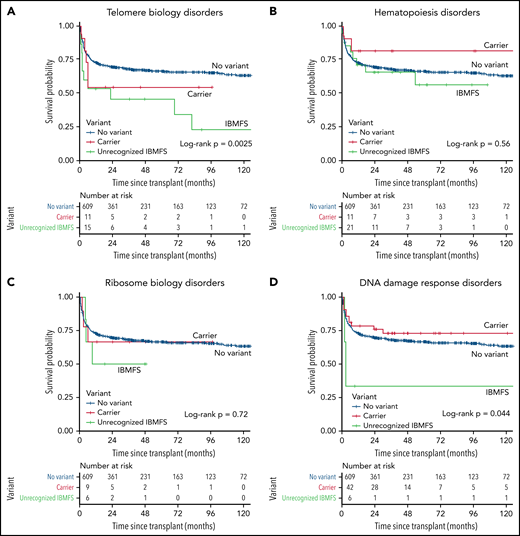 Posttransplant survival probability in patients with unrecognized IBMFS by gene group. (A) Telomere biology disorders. (B) Hematopoiesis disorders. (C) Ribosome biology disorders. (D) DNA damage response disorders. Kaplan-Meier curve comparing 3 groups of patients, those with a previously unrecognized IBMFS (green), carriers (red), and those with no variants (blue).
