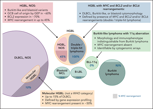 HGBL, NOS and other aggressive B-cell lymphomas. Note that the size of the circles is not to scale, as the precise incidence of some entities is unknown; shaded areas indicate the proportion of cases with MYC rearrangement. Professional illustration by Patrick Lane, ScEYEnce Studios.