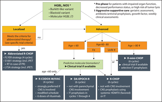 First-line therapy for HGBL, NOS. Recommendations are based on available experience in aggressive lymphomas and the authors’ preferences, because histology-specific data are sparse; areas of priority research are italicized. HDMTX, high-dose methotrexate; iPET, interim positron emission tomography; IT, intrathecal; PR, partial response; RT, radiation therapy.