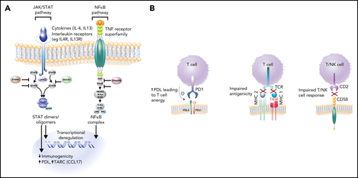 Key pathogenic hallmarks of PMBCL and pathway perturbation. (A) JAK-STAT and NFκB are key activation pathways in PMBCL leading to transcriptional deregulation and impaired immunogenicity. (B) Mechanisms of immune evasion in PMBCL, including PDL1/2 expression with resultant T-cell anergy, reduced antigenicity through MHC class 2 downregulation (in part, due to CIITA rearrangements and mutations), MHC class 1 defects caused by B2M mutations, and CD58 mutations/microdeletions leading to impaired T- and NK-cell interactions.8,32,35