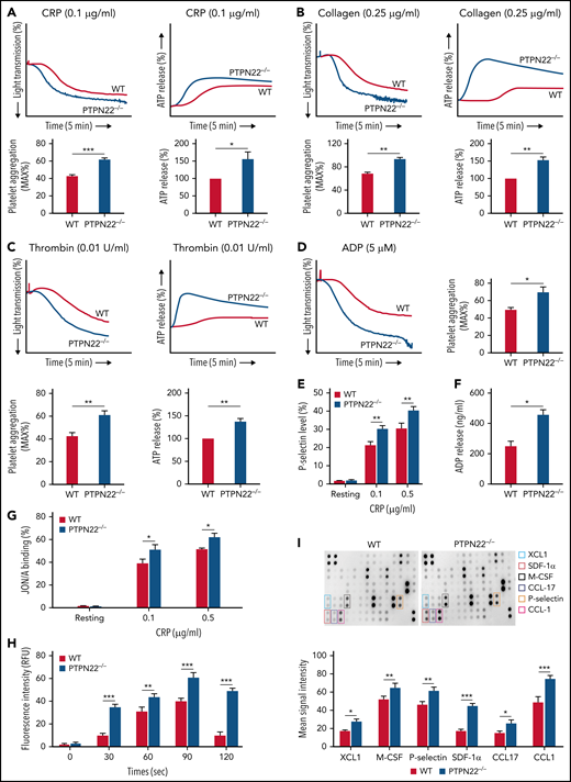 Platelet aggregation, granule recreation, and αIIbβ3 activation. Platelets (200 × 109/L) were isolated from WT or PTPN22−/− mice and stimulated with CRP (0.1 μg/mL) (A), collagen (0.25 μg/mL) (B), thrombin (0.01 U/mL) (C), or ADP (5 μM) (D) followed by analysis of platelet aggregation and ATP release (indicator of dense granule secretion) (except ADP stimulation) in a Model 700 Lumi-Aggregometer (Chrono-log Corporation). P-selectin expression (α-granule secretion) (presented as the % positive staining of anti-CD62P antibody) (E), ADP secretion (F), αIIbβ3 activation (presented by JON/A binding) (G), calcium mobilization (H), and cytokines released in response to CRP stimulation (I). Data are shown as mean ± standard error (n = 3-5; unpaired t test or two-way analysis of variance). *P < .05, **P < .01, ***P < .001. M-CSF, macrophage colony-stimulating factor; RFU, relative fluorescence units.