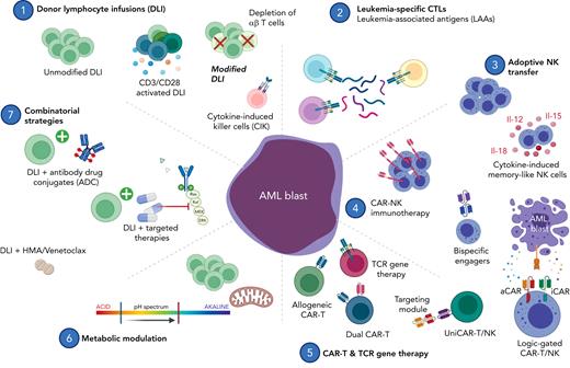 Postremission adoptive cellular therapy for high-risk acute leukemia. (1) Donor lymphocyte infusions aim to restore GvL and have been applied clinically to treat overt relapse posttransplant, prevent relapse in high-risk patients (prophylactic intent), and to restore GvL on impending relapse as defined by detection of MRD or LOC (preemptive intent). Several groups have refined this strategy with depletion and enrichment of specific T-cell subsets. Cytokine-induced killer cells (CIK) mimic an NK-like phenotype and are capable of HLA-unrestricted killing mediated through NKG2D and DAP10. (2) CTLs are primed ex vivo with leukemia-associated antigen (LAA) peptide mixes to redirect specificity. (3) Adoptive transfer of NK cells supports immune reconstitution early posttransplant. Ex vivo cytokine induction using interleukins-12, -15, -18 primes memory-like NK cells for enhanced killing. (4) CAR-modified NK cells are redirected for specific target engagement using a genetically engineered synthetic receptor. Logic-gated CAR-NK cells can discriminate between leukemic blasts and healthy progenitor cells by recognition of both activating and inhibitory stimuli. (5) CAR-T cells are genetically engineered to specifically recognize and kill targets in an HLA-unrestricted manner. Universal allogeneic CAR-T candidates are genetically edited for safe clinical use despite being derived from third-party donors. Dual-CAR-T constructs target multiple antigens simultaneously to circumvent immune escape arising from antigen-negative disease. TCR-engineered T cells recognize leukemia-associated antigens such as WT1 in an HLA-dependent manner. (6, 7) DLI combination therapy promises both synergistic antileukemic activity and immune modulation to augment GvL. Abbreviations: aCAR, activating chimeric antigen receptor; ADC, antibody-drug conjugate; Bcl-2, B-cell lymphoma-2; BiTE, bispecific T-cell engager; CAR, chimeric antigen receptor; CIK, cytokine-induced killer cells; CTL, cytotoxic T lymphocytes; DLI, donor lymphocyte infusion; HDACi, histone deacetylase inhibitor; HMA, hypomethylating agent; iCAR, inhibitory chimeric antigen receptor; LAA, leukemia-associated antigen; LOC, loss of complete donor chimerism; TCR, T-cell receptor; WT1, Wilms’ tumor protein. Image created in BioRender.