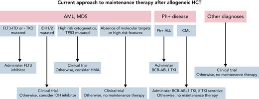 How we treat algorithm for posttransplant maintenance therapy. Our current approach to the application of maintenance therapy after allogeneic HCT. TKD, tyrosine kinase domain.