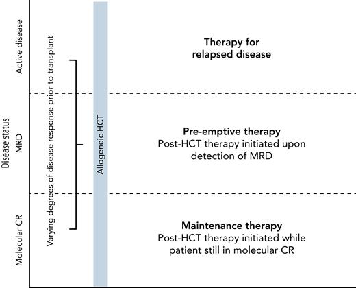 Categorization of approaches to disease-directed therapy after allogeneic HCT. Disease status at the initiation of therapy after transplant provides definition to the treatment approach and may impact the likelihood of success in each setting.