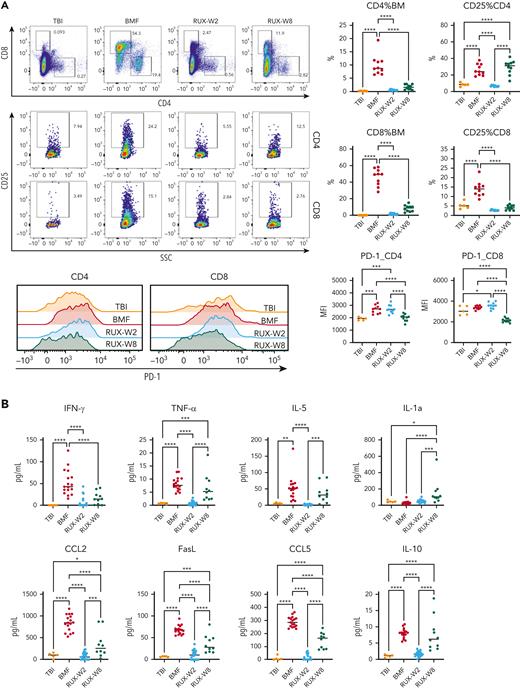 Short-term and long-term changes in immune status in BMF mice by RUX therapy. (A) T-cell phenotype of BM-infiltrated CD4+ and CD8+ T cells. BMF CByB6F1 mice treated with RUX were euthanized at 2 weeks (RUX-W2, n = 10, short-term) and 8 weeks (RUX-W8, n = 10, long-term) following LN cell infusion, along with TBI mice at 8 weeks (TBI, n = 5) as controls. BMF mice without treatment (BMF, n = 10) were euthanized at 2 weeks because almost all mice would die within 3 weeks post LN cell infusion if untreated. BM cells and plasma samples were collected and stored at −80°C until analysis. T-cell activation marker CD25 and immune checkpoint and T-cell exhaustion marker PD-1 are shown in representative flow cytometry plots and histograms. (B) Cytokine profiles of RUX-treated mice. Inflammatory cytokines including IFN-γ, TNF-α, IL-5, IL-1a, CCL2, FasL, CCL5, and IL-10 in plasma samples from different experiments were measured by Luminex simultaneously. TBI (n = 5), BMF (W2, n = 17), RUX-W2 (n = 25), and RUX-W8 (n = 10) mice, shown as individual observations. ∗P < .05; ∗∗P < .01; ∗∗∗P < .001; ∗∗∗∗P < .0001.
