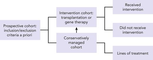 Nested prospective cohort within a disease registry.