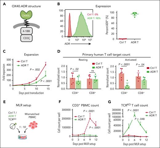 Generation of OX40.ADR T cells and their activity in vitro. (A) Schematic of OX40.ADR structure. (B) Surface expression of OX40.ADR on primary human T cells on day 8 post transduction. Mean ± SD values are shown. Each dot represents data from an individual donor. (C) Ex vivo expansion kinetics of OX40.ADR T cells compared with donor-matched Ctrl T cells. Mean ± SD values from 6 individual donors are shown. P values were calculated using 2-way ANOVA followed with Sidak correction. Only P values < .05 (days 10 and 14) are shown. (D) Normalized residual counts of resting (left) or activated (right) primary human T cell targets after 48 hours of coculture with autologous Ctrl or ADR T cells. Mean ± SD values are shown. Each dot represents data from an individual donor. P values were calculated using 2-way ANOVA followed with Holm-Sidak correction. Not significant (ns), P ≥ .05. (E) Schematic of the MLR model for panels F-G. (F-G) Absolute cell counts of (F) CD3+ PBMC or (G) T cell receptor–edited (TCRKO) T cells measured at indicated time points. Mean ± SD values are shown. P values were calculated using 2-way ANOVA followed with Sidak correction. Ctrl, control nontransduced T cells; ADR, OX40.ADR.