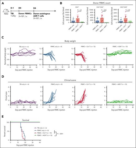 OX40.ADR T cells suppress fatal xenogeneic GVHD in vivo. (A) Schematic of model setup for panels B-E. (B) Absolute counts of specified populations on day 11 post PBMC injection. Mean ± SD values are shown. Each dot represents data from an individual animal. P values were calculated using unpaired t test. (C) Animal body weight (normalized to weight on day 0 of the same animal) at specified time points. Each line represents data from an individual animal. (D) GVHD clinical scores at specified time points. Each line represents data from an individual animal. (E) Animal survival over time. P values were calculated using a log-rank test. TBI, total body irradiation.